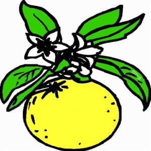 citrosenpamp